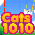 Кошки 1010